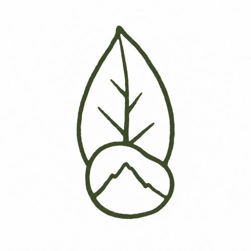 MS00130_LG_V1_S4_02.png