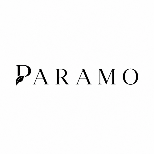 logo_a_2.png