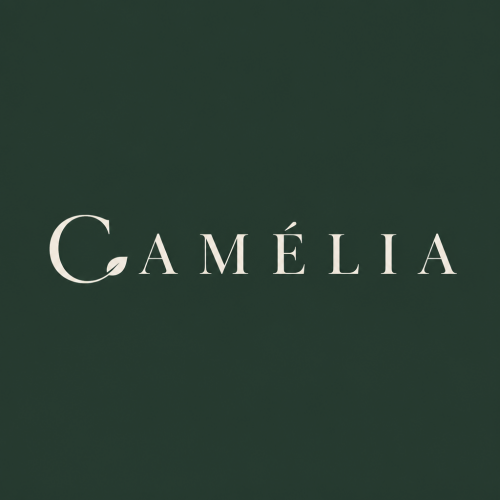 logo_a_16232b23bc3eb9e69.png